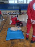 642190422_1337064158452831_4422757539967867998_n